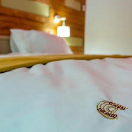 Casadrago , Sauna Si Ciubar Cu Apa Sarata Holiday home