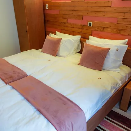 Holiday home Casadrago , Sauna Si Ciubar Cu Apa Sarata Sinaia