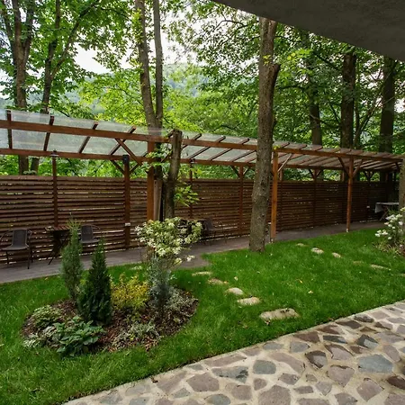 Casadrago , Sauna Si Ciubar Cu Apa Sarata